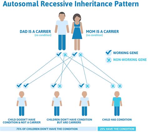 jilino1.oi|brittle bone disease life expectancy.